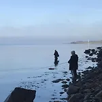 Brolokken *