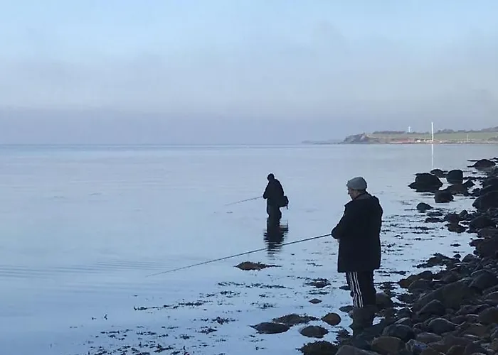 Brolokken *
